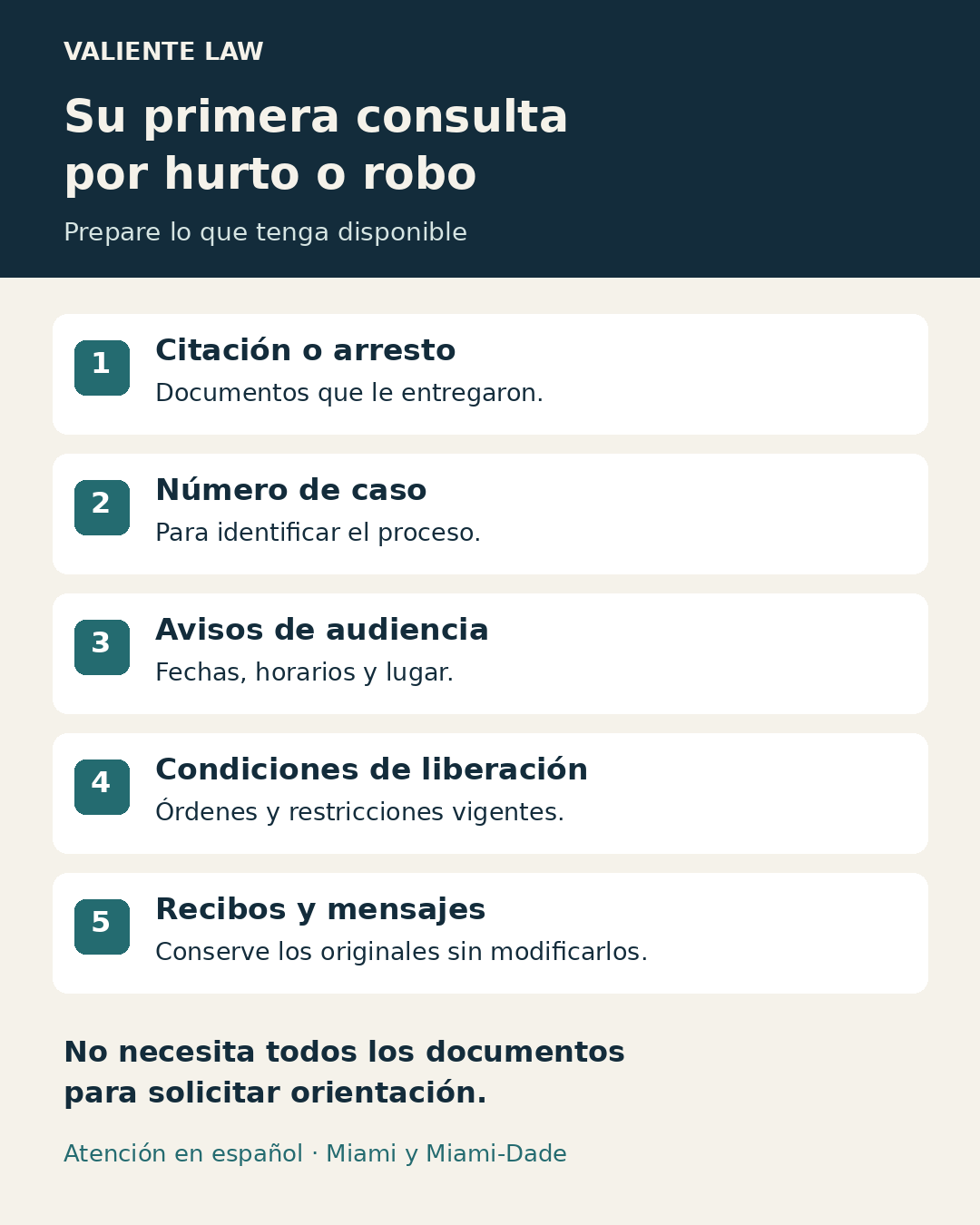 Documentos para la consulta: citación o arresto, número de caso, avisos de audiencia, condiciones de liberación, recibos y mensajes pertinentes.